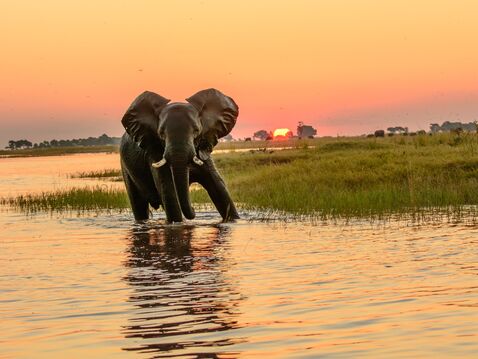 Exploring-Tour Botswana &amp; Südafrika | Abenteuerlich. Intensiv. Exklusiv.