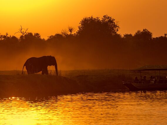 Exploring Tour Botswana &amp; Südafrika | Abenteuerlich. Exklusiv. Intensiv.