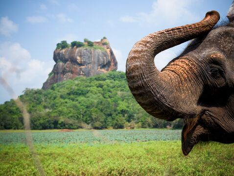 Sri Lanka | Golf &amp; Kultur-Rundreise zwischen Fairways &amp; Tempeln 